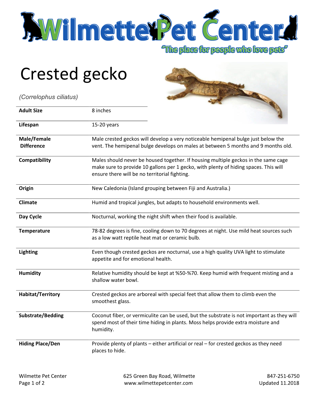 Crested Gecko