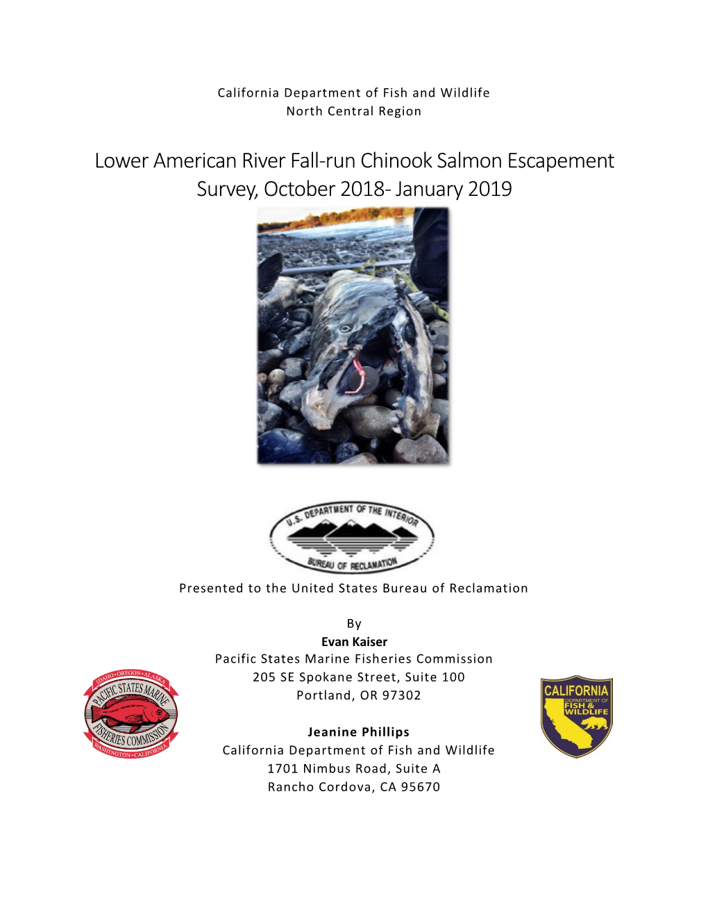 Lower American River Fall-Run Chinook Salmon Escapement Survey, October 2018- January 2019