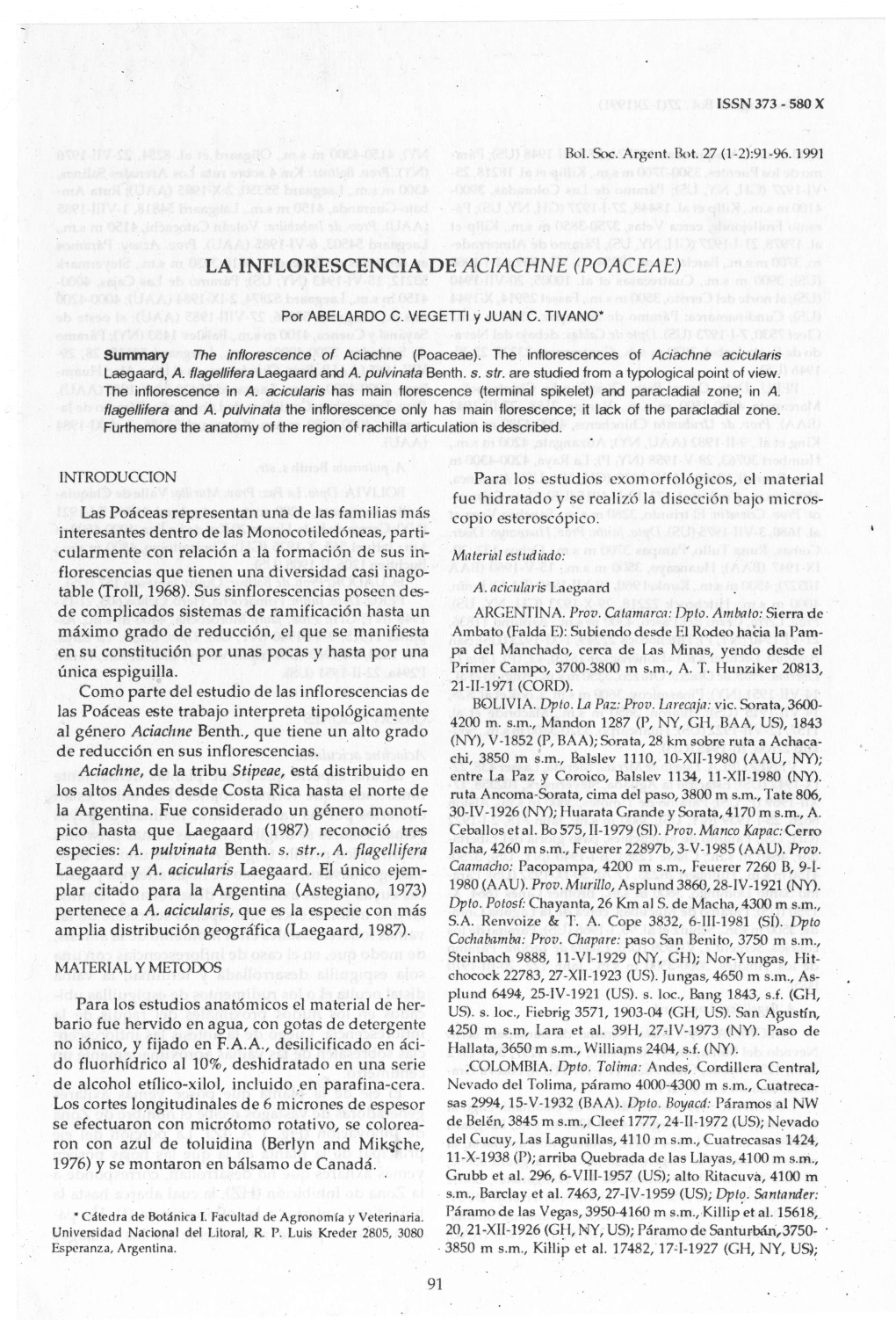 La Inflorescencia De Aciachne (Poaceae)