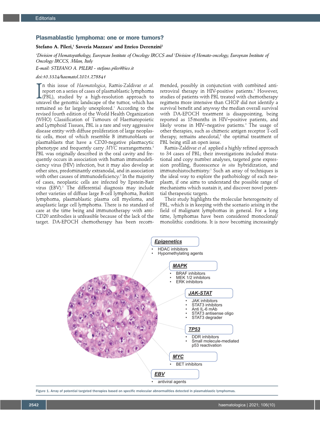 Plasmablastic Lymphoma: One Or More Tumors? Stefano A