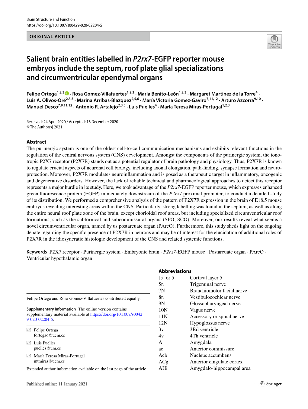 Salient Brain Entities Labelled in P2rx7-EGFP Reporter