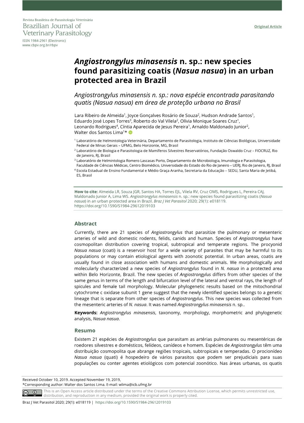 Angiostrongylus Minasensis N. Sp.: New Species Found Parasitizing Coatis (Nasua Nasua) in an Urban Protected Area in Brazil