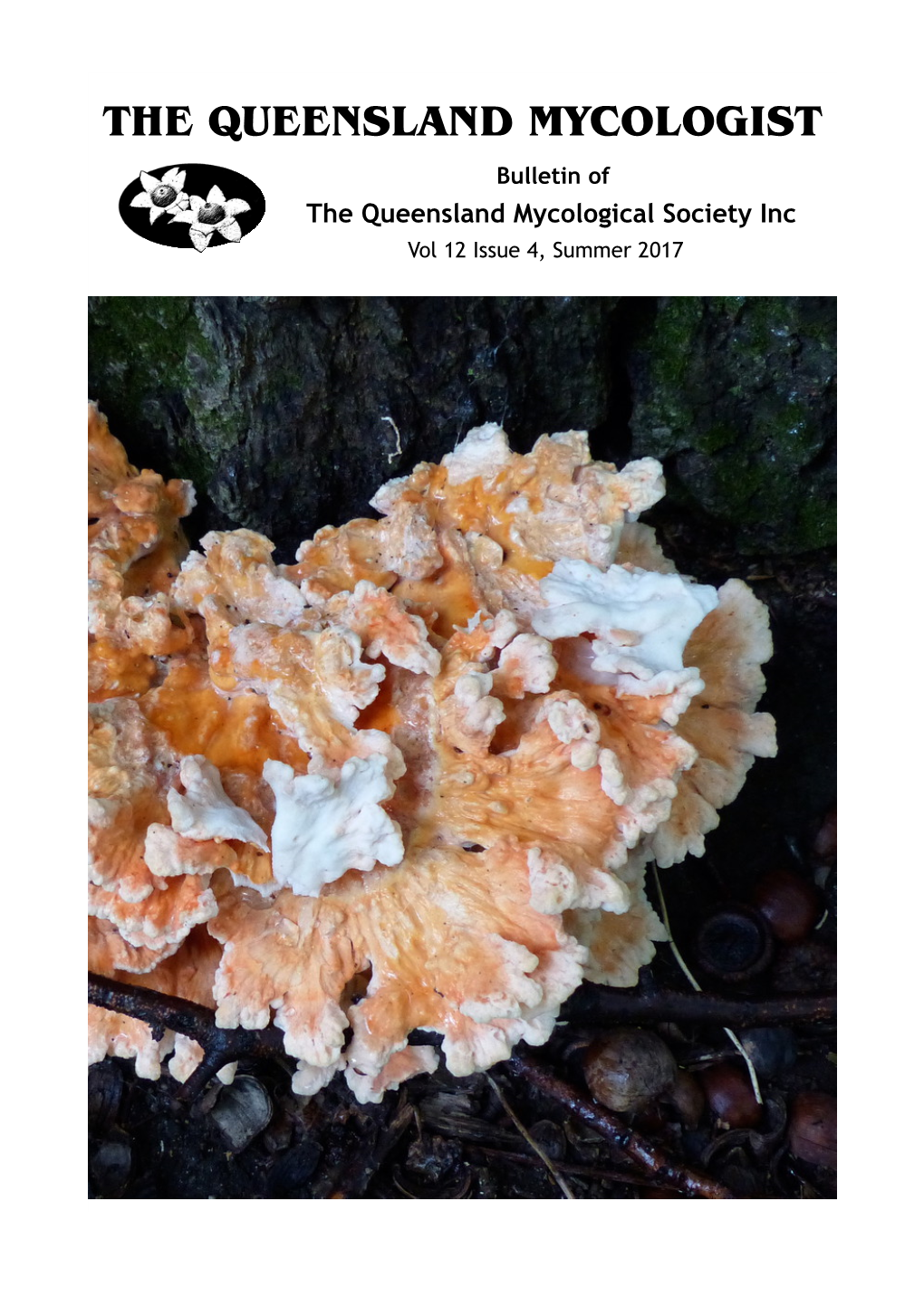 The Queensland Mycologist