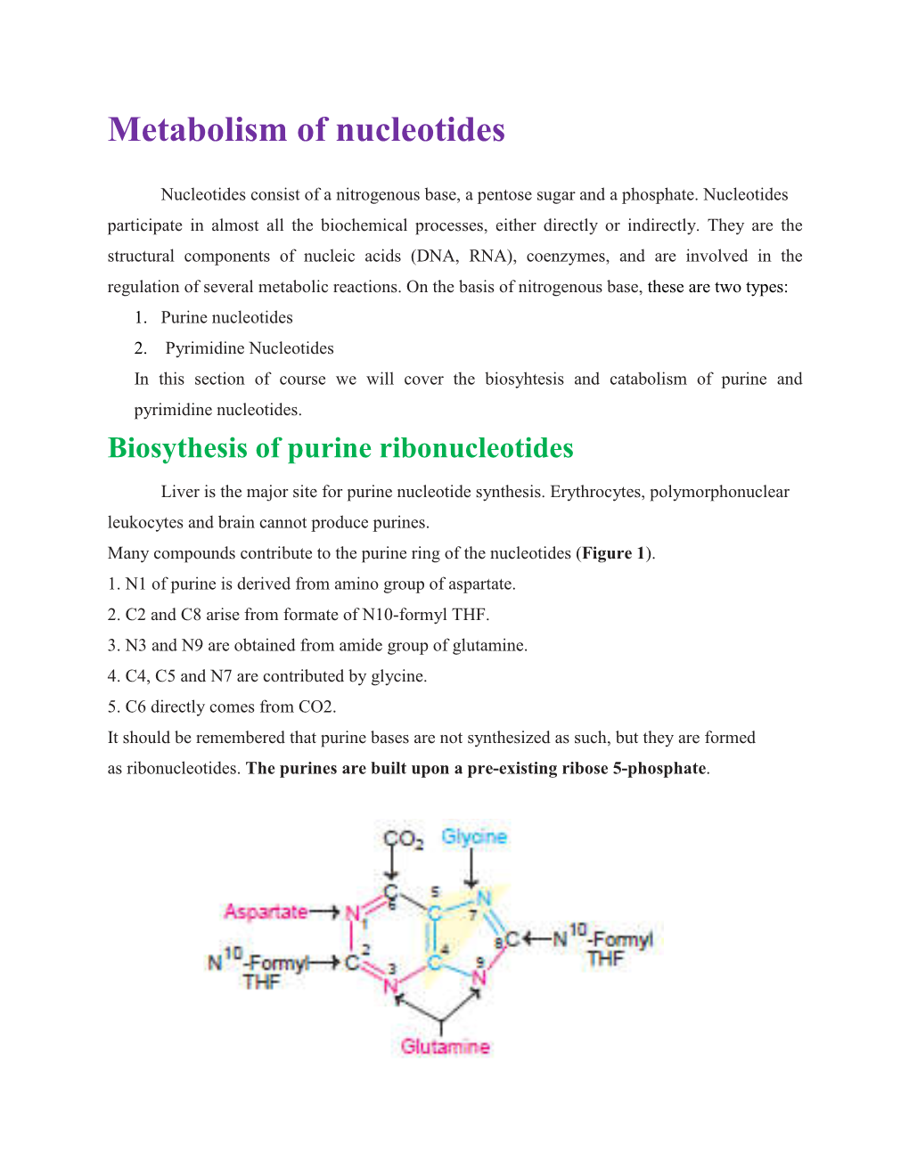 Metabolism of Nucleotides