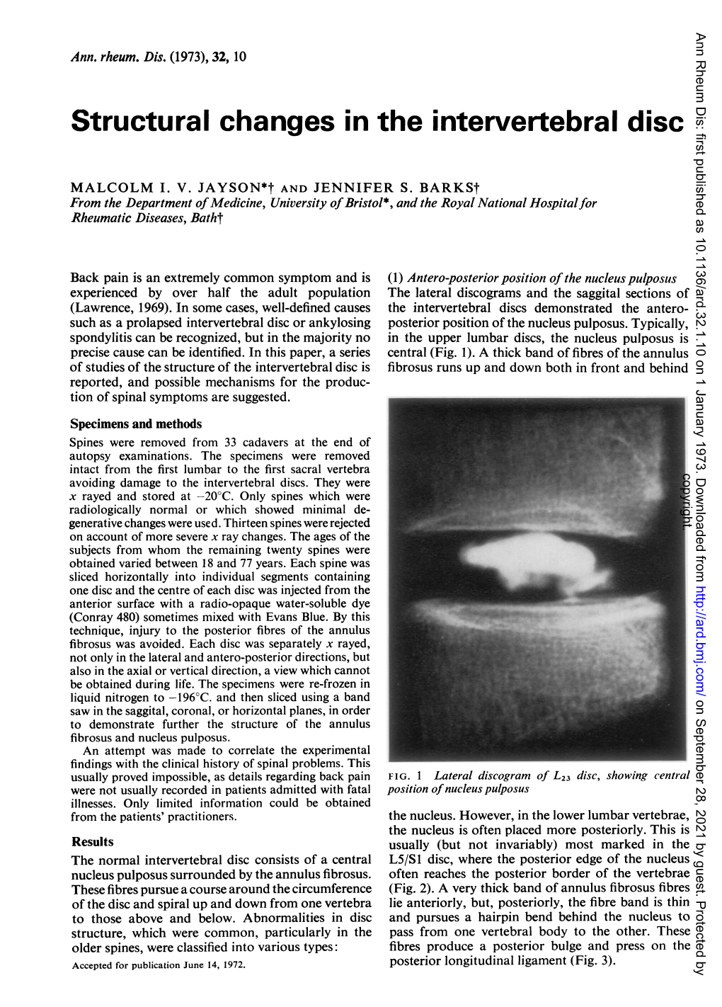 Structural Changes in the Intervertebral Disc