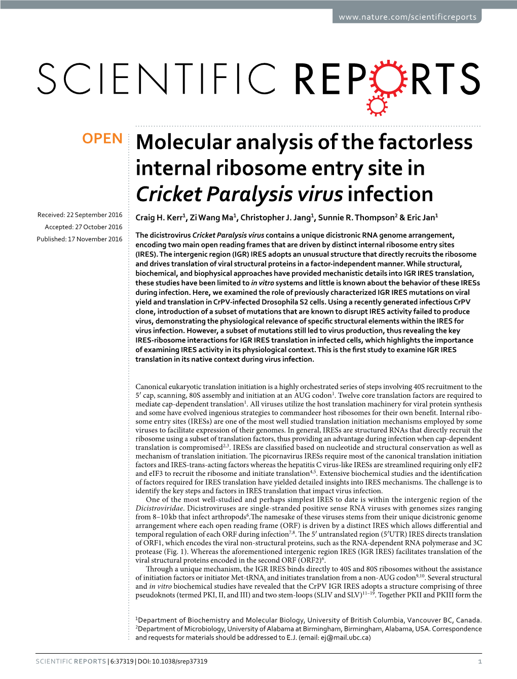 Molecular Analysis of the Factorless Internal Ribosome Entry Site in Cricket Paralysis Virus Infection Received: 22 September 2016 Craig H