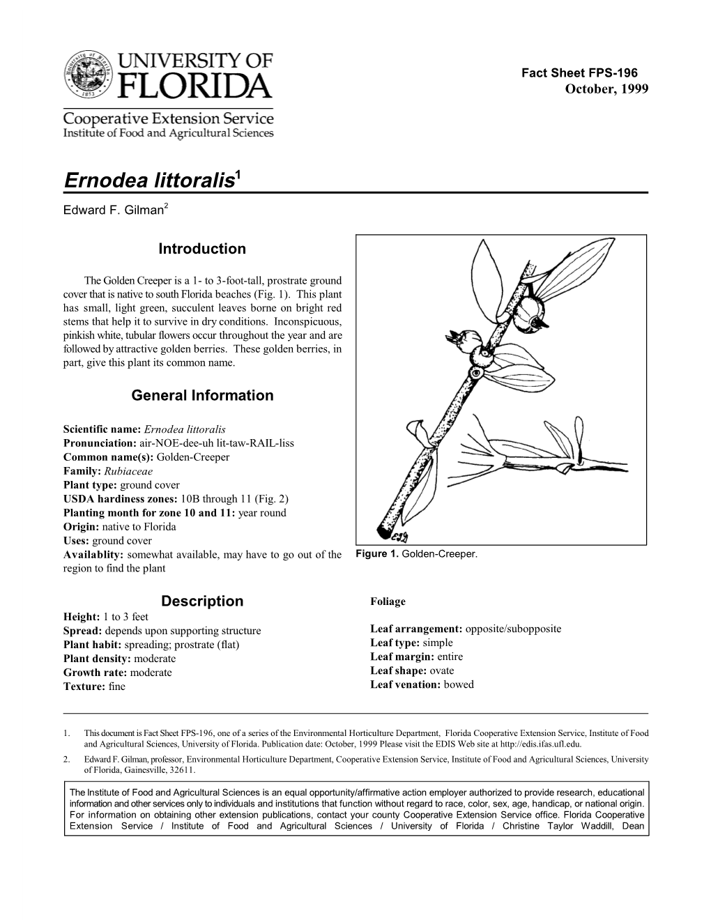 Ernodea Littoralis1