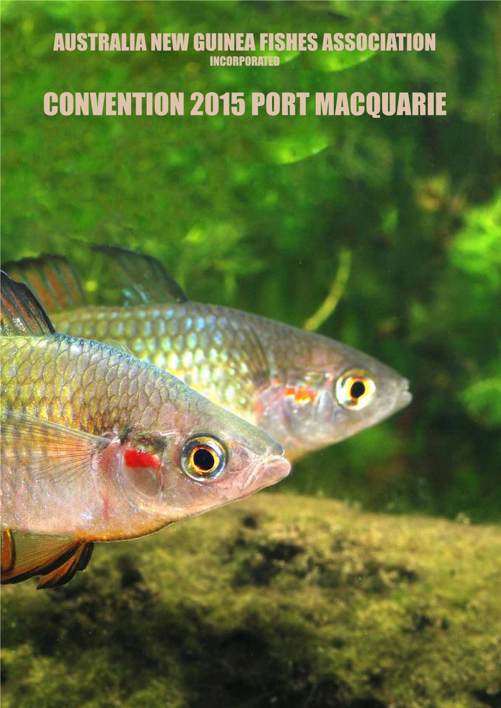 Convention 2015 Port Macquarie Convention Programme