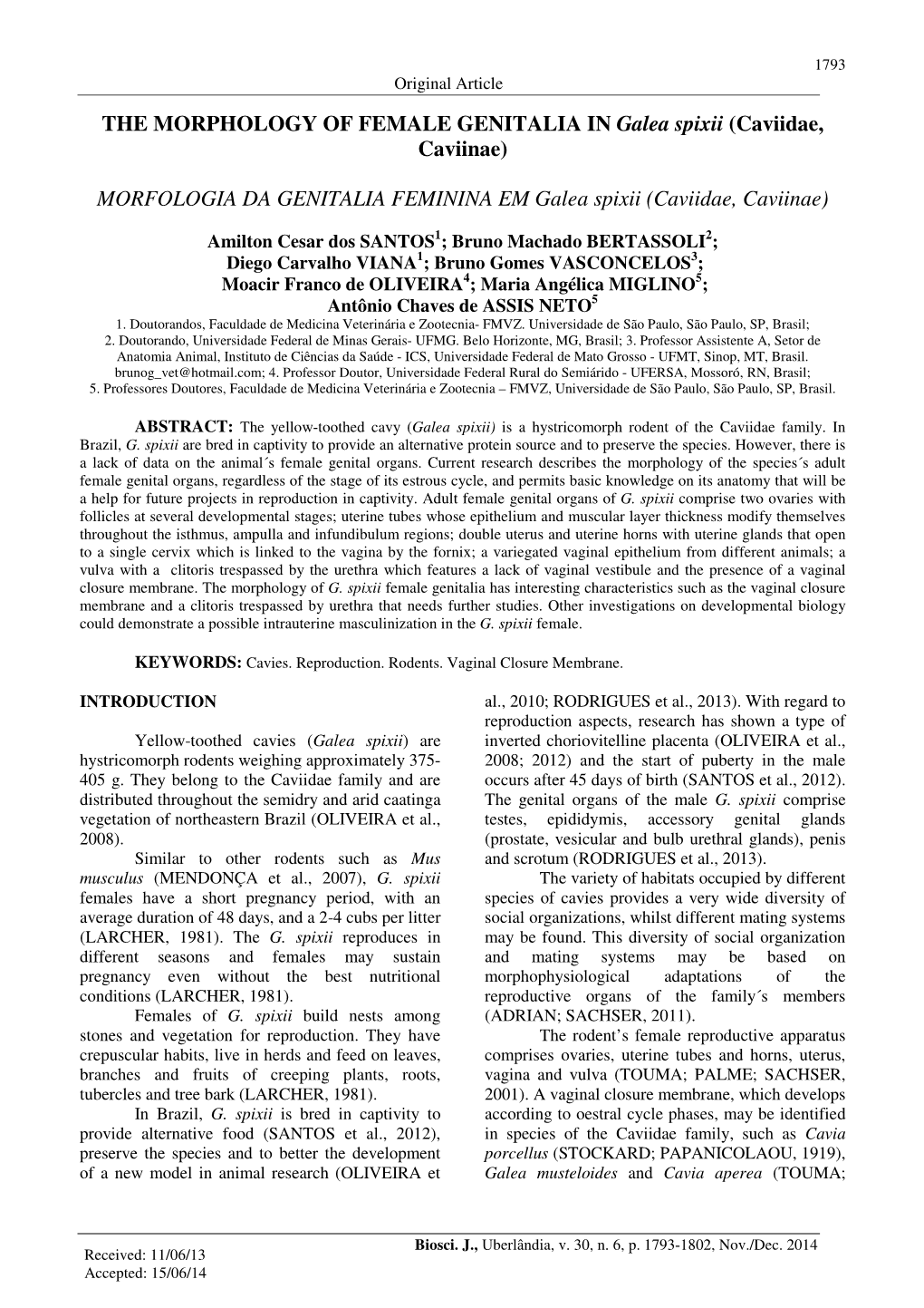 THE MORPHOLOGY of FEMALE GENITALIA in Galea Spixii (Caviidae, Caviinae) MORFOLOGIA DA GENITALIA FEMININA EM Galea Spixii (Caviid