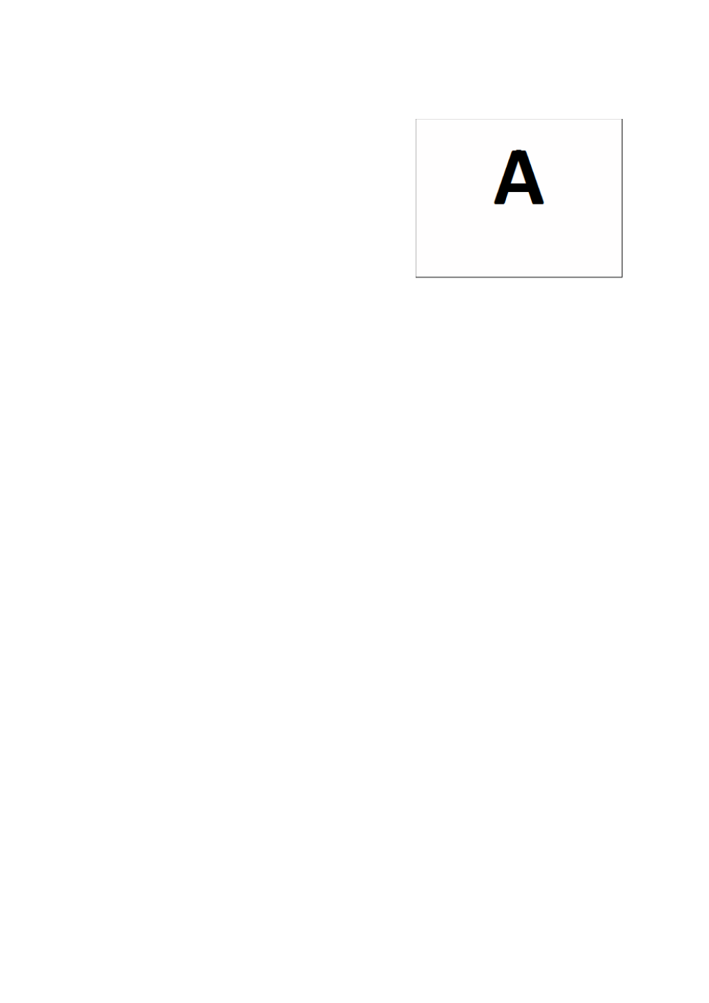 Positions of Responsibility 2015-2019