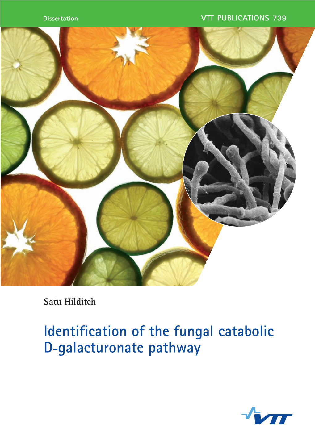 Identification of the Fungal Catabolic D-Galacturonate Pathway