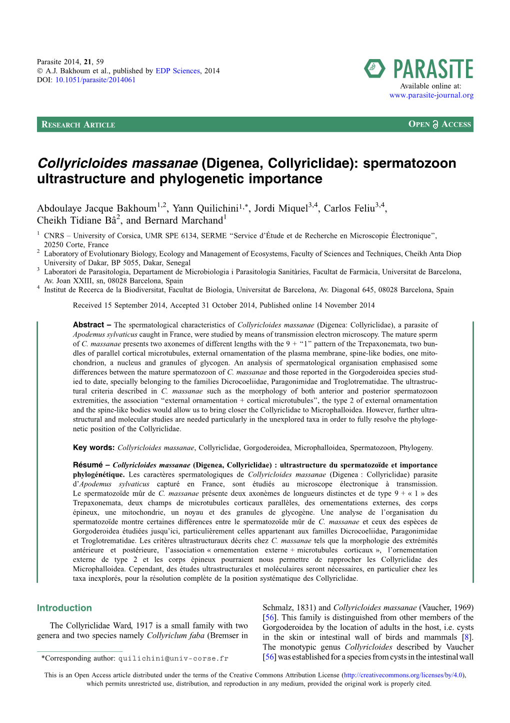 (Digenea, Collyriclidae\): Spermatozoon