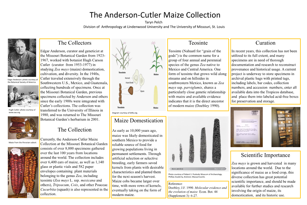 Curation the Collectors the Collection Teosinte Maize Domestication Scientific Importance