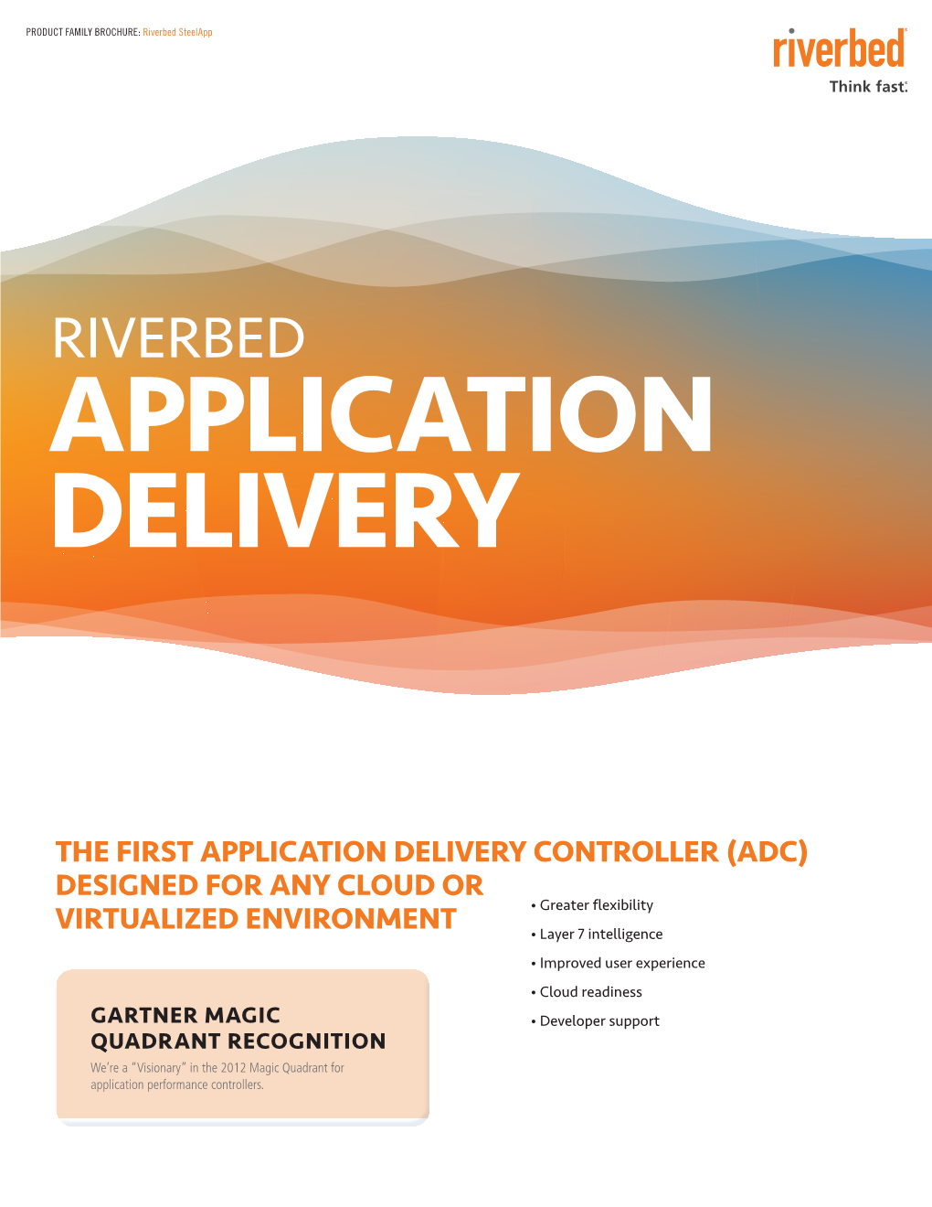 Riverbed Steelapp