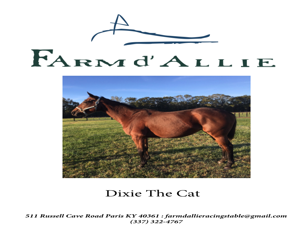 Dixie the Cat (Pdf)