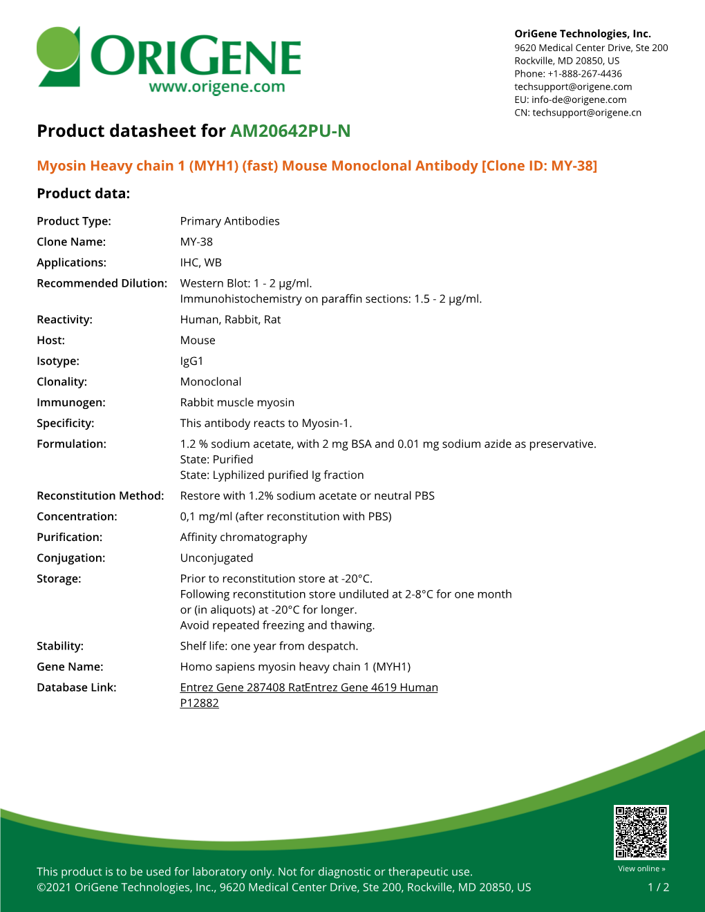 Myosin Heavy Chain 1 (MYH1) (Fast) Mouse Monoclonal Antibody [Clone ID: MY-38] Product Data