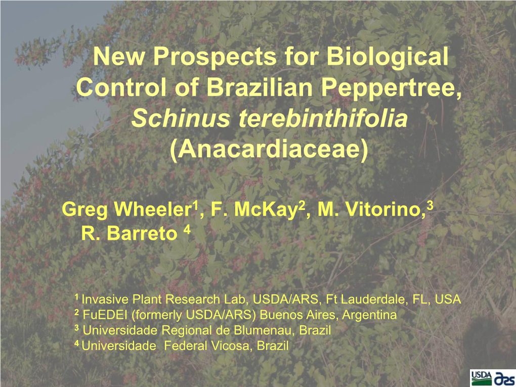 Damage Schinus Biological Control