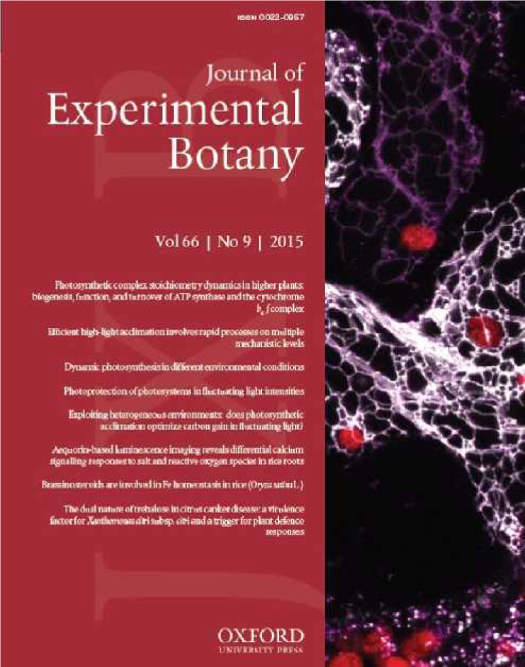 Arabidopsis Thaliana, Binds the Energy-Sensing Snrk1 Kinase AKIN10 2475 Onoda Y, Schieving F and Anten NPR