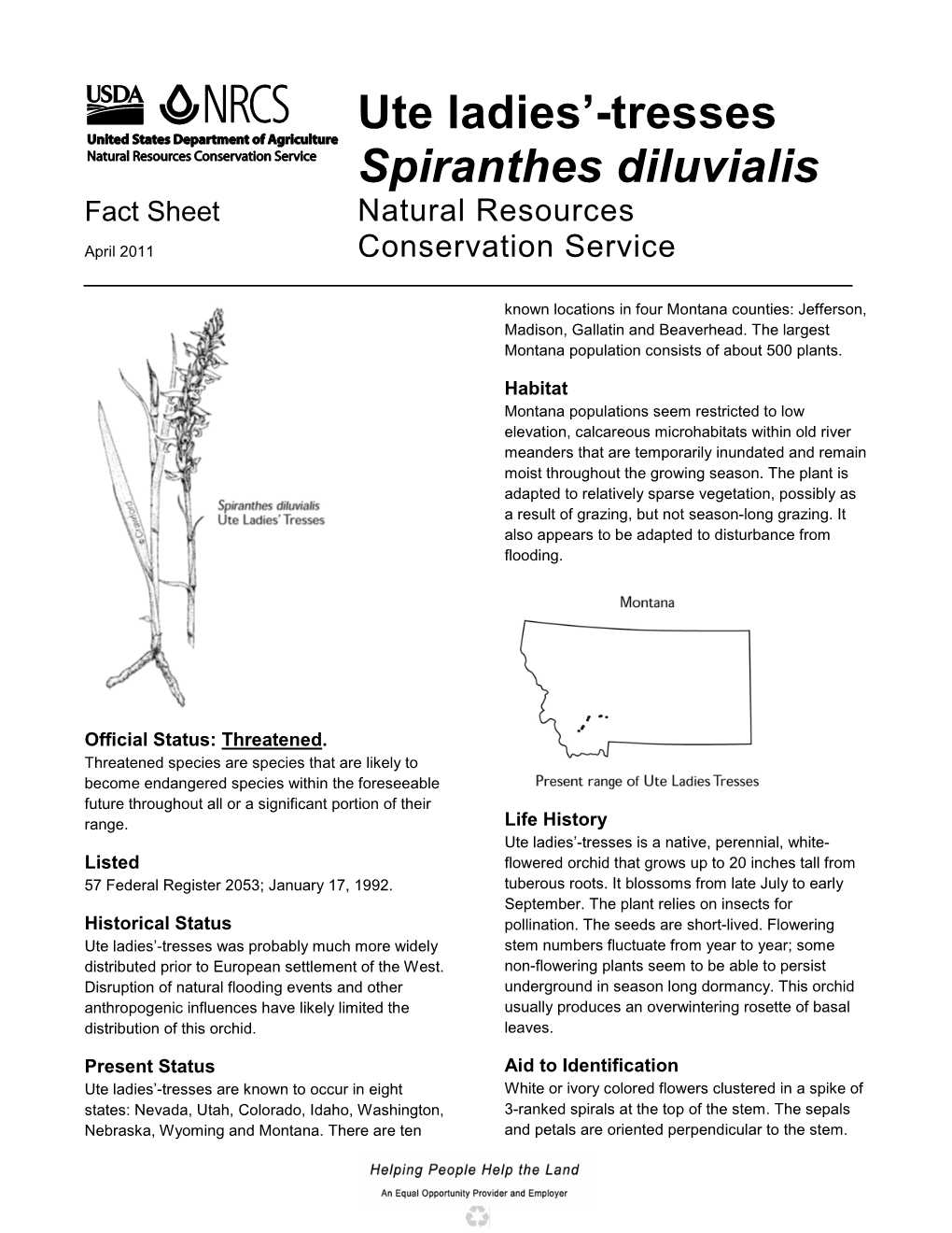 Ute Ladies'-Tresses Spiranthes Diluvialis