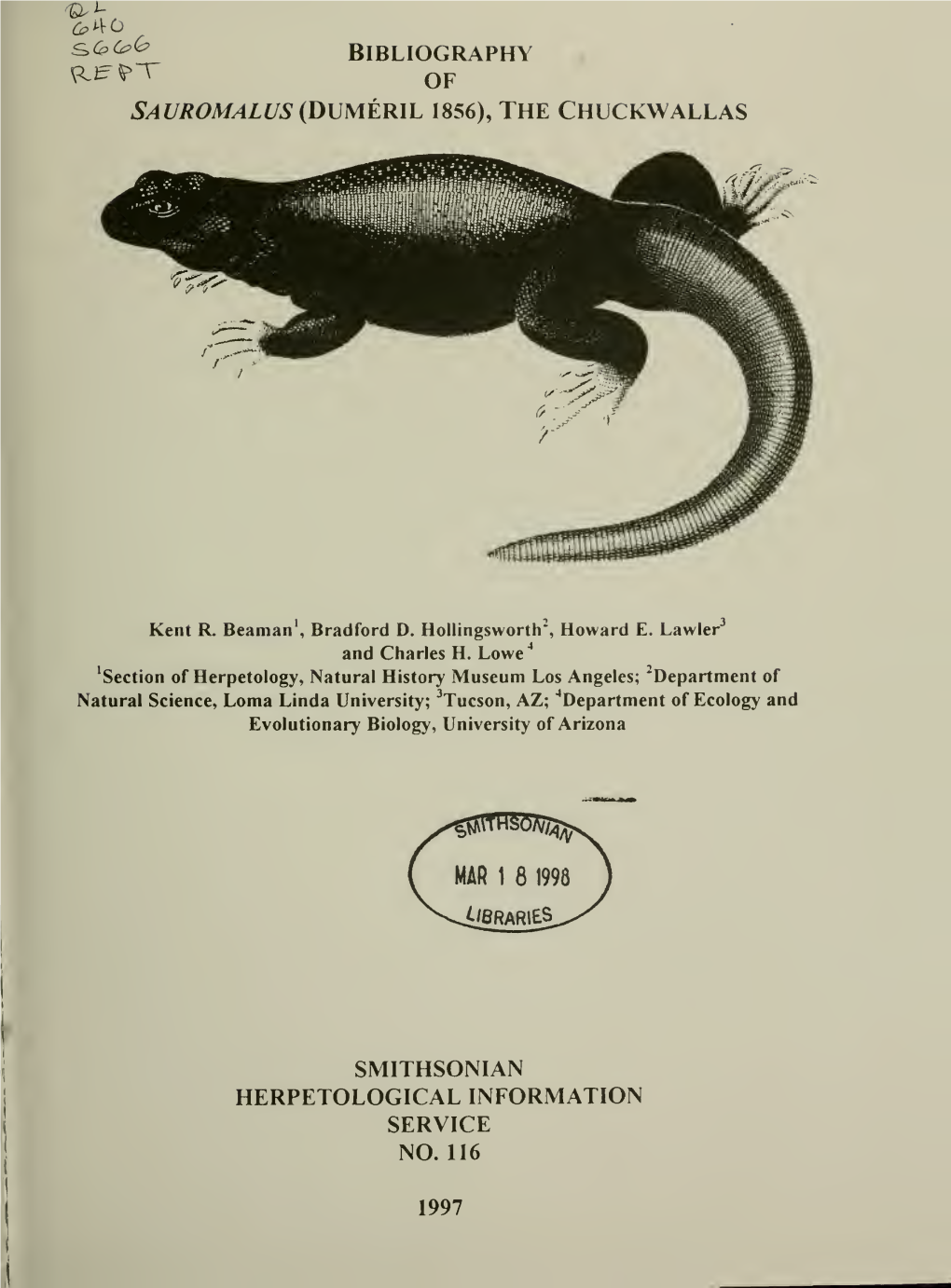 SAUROMALUS {Dvmtkll 1856), the CHUCKWALLAS