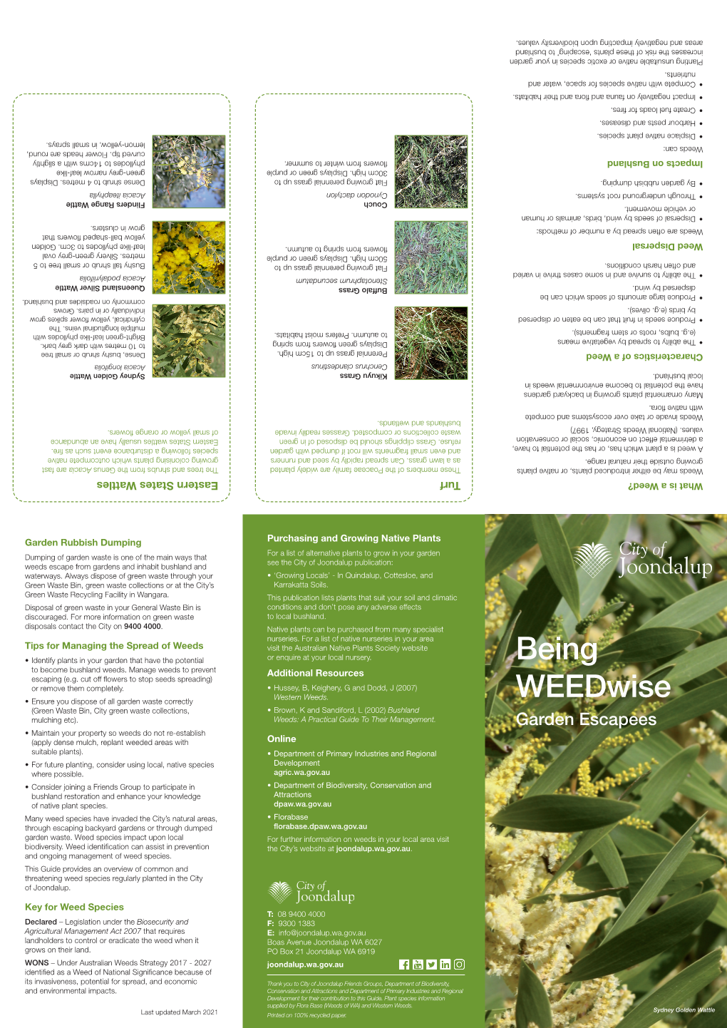 Being Weedwise Garden Escapees Weed Guide