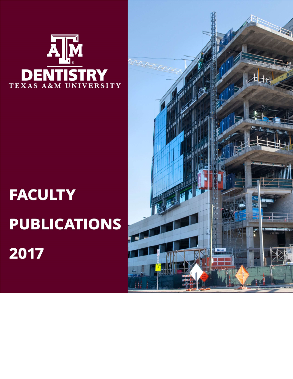 2017 Faculty Publications Book