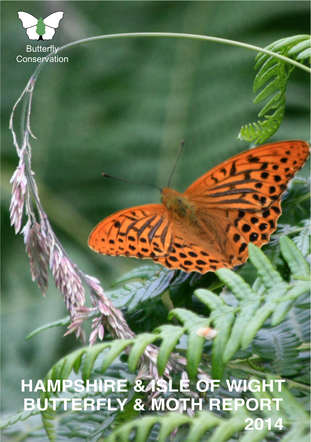 Hampshire & Isle of Wight Butterfly