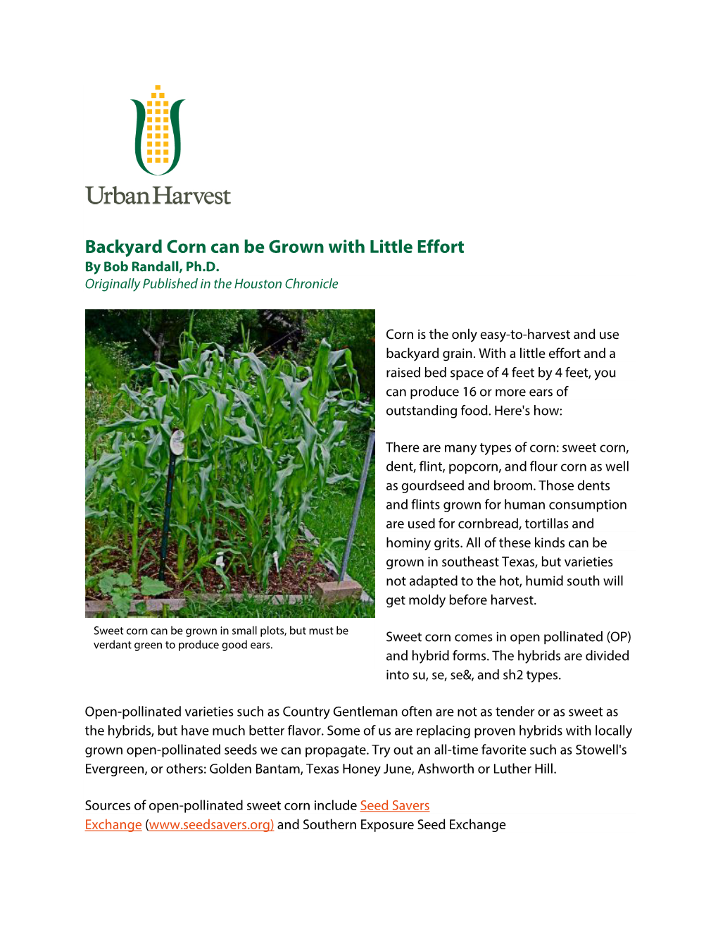 Backyard Corn Can Be Grown with Little Effort by Bob Randall, Ph.D
