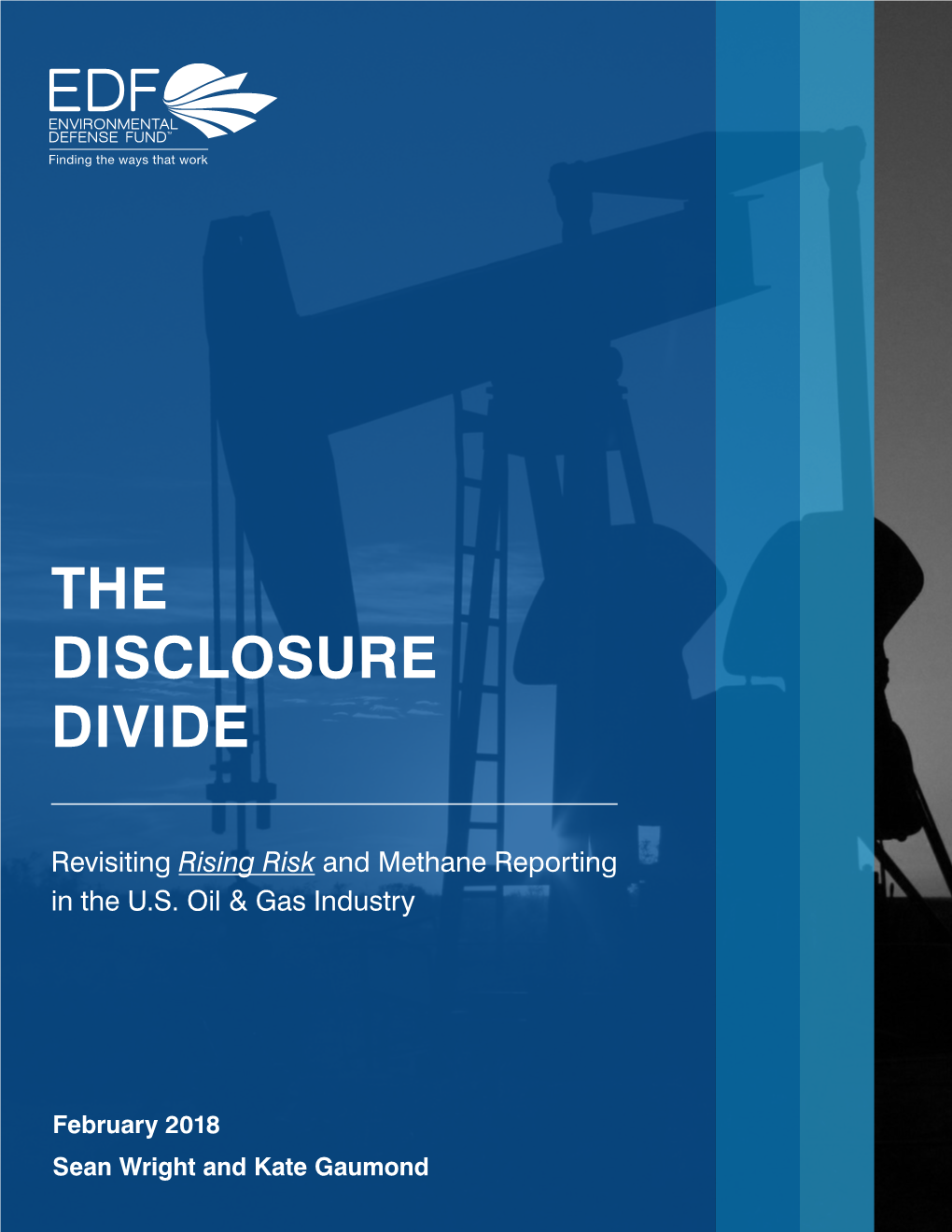 The Disclosure Divide