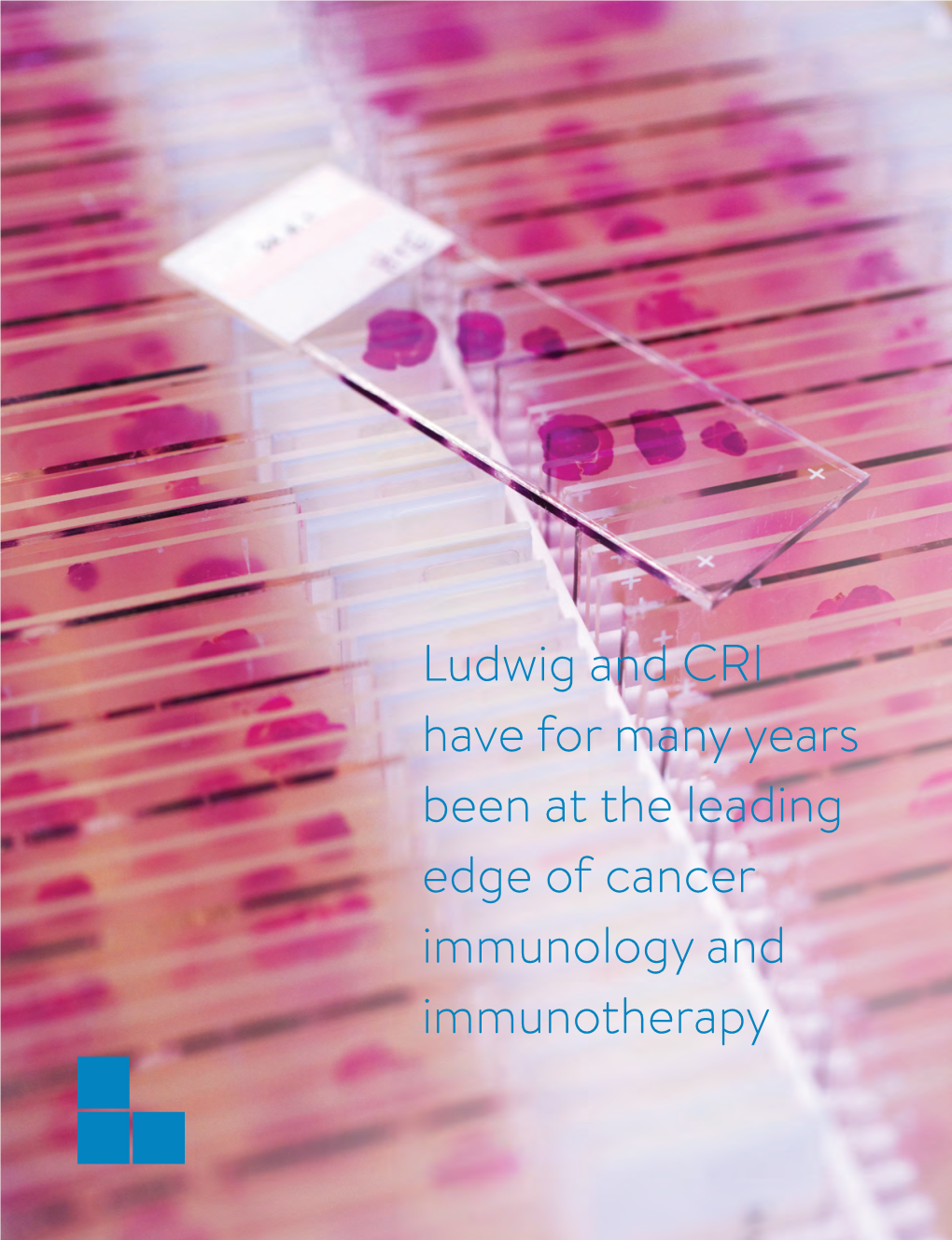 Ludwig and CRI Have for Many Years Been at the Leading Edge of Cancer Immunology and Immunotherapy