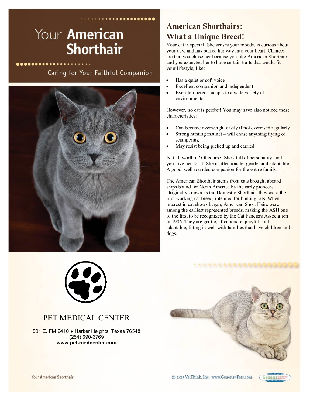 American Shorthairs: What a Unique Breed! PET MEDICAL CENTER