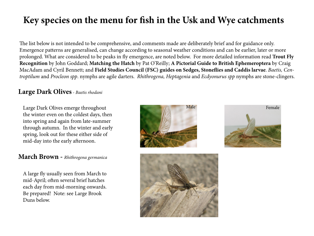 Key Species on the Menu for Fish in the Usk and Wye Catchments