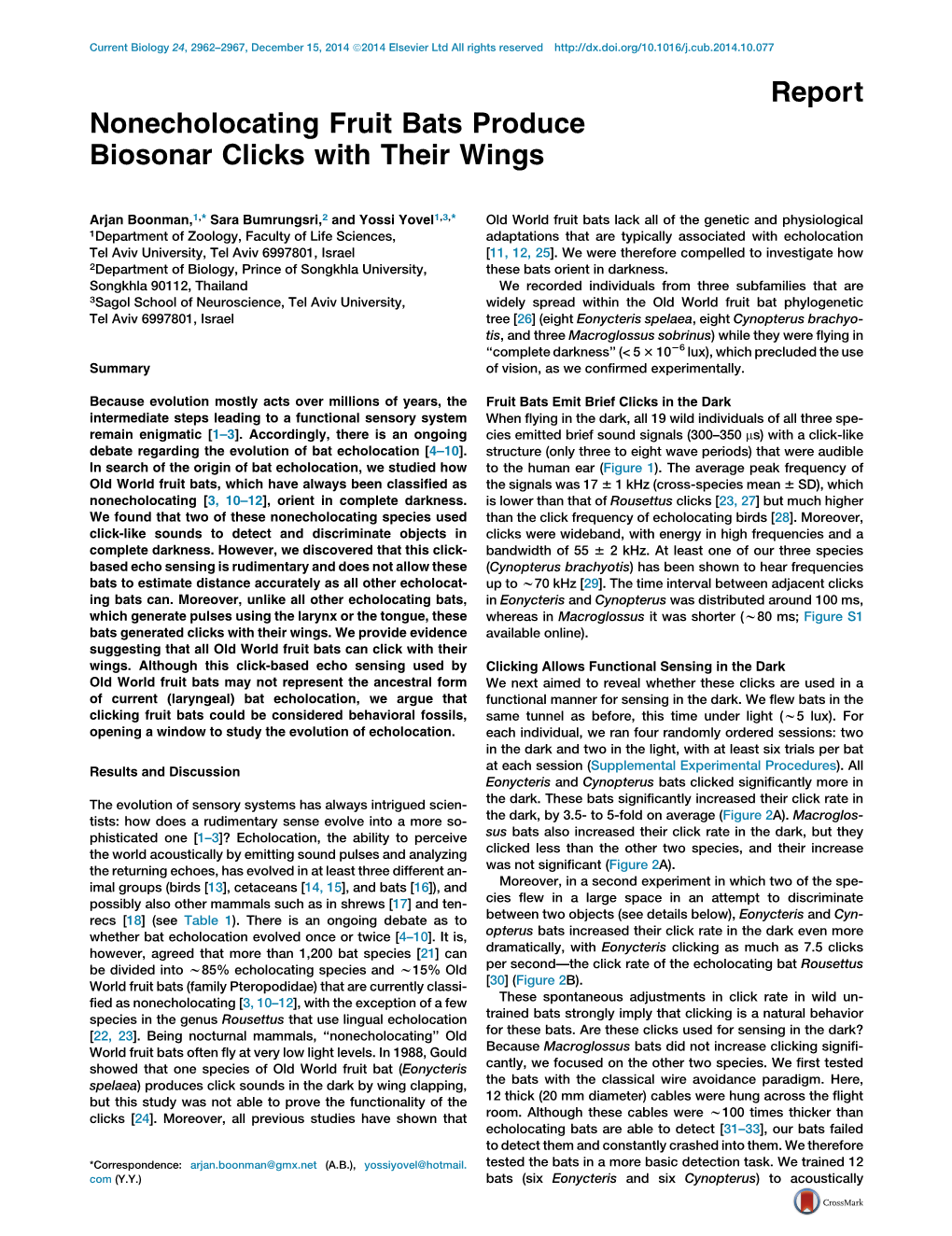 Nonecholocating Fruit Bats Produce Biosonar Clicks with Their Wings