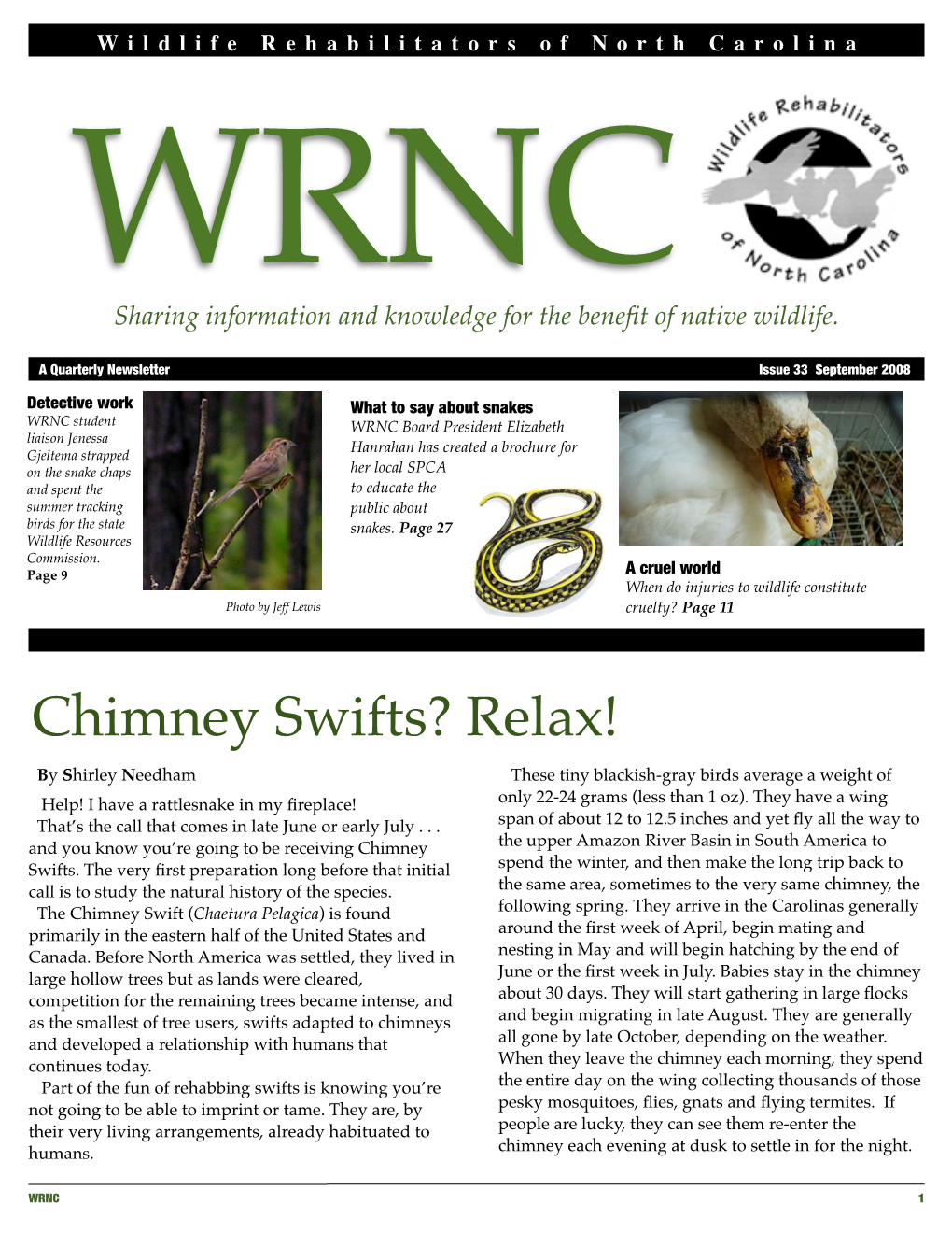 Chimney Swifts? Relax!
