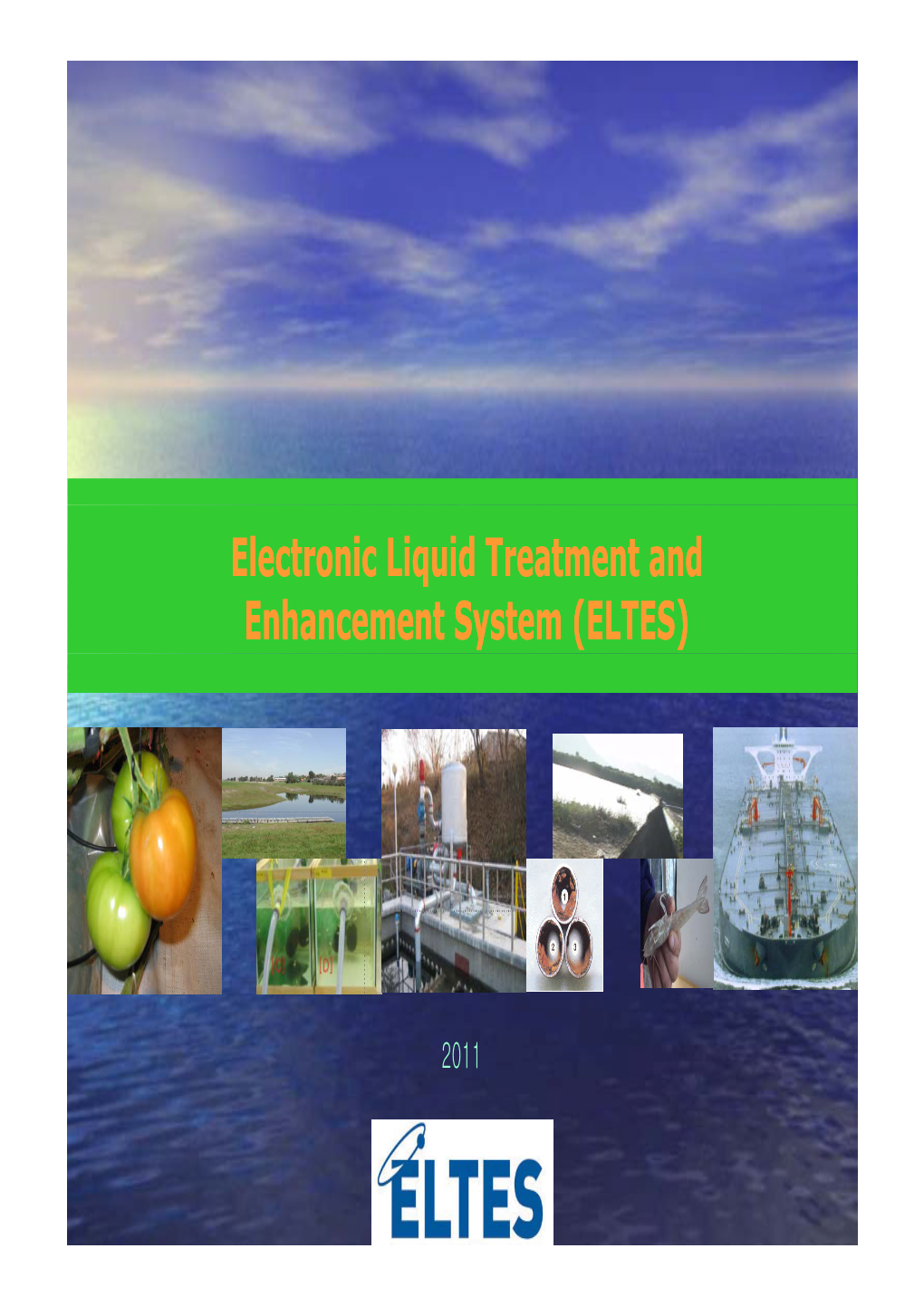 Electronic Liquid Treatment and Enhancement System (ELTES)