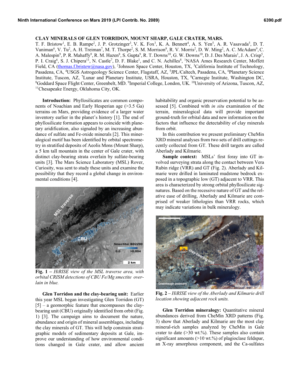 Clay Minerals of Glen Torridon, Mount Sharp, Gale Crater, Mars