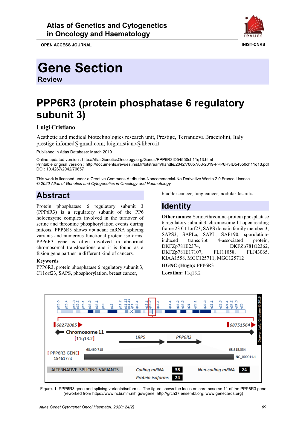 Gene Section Review