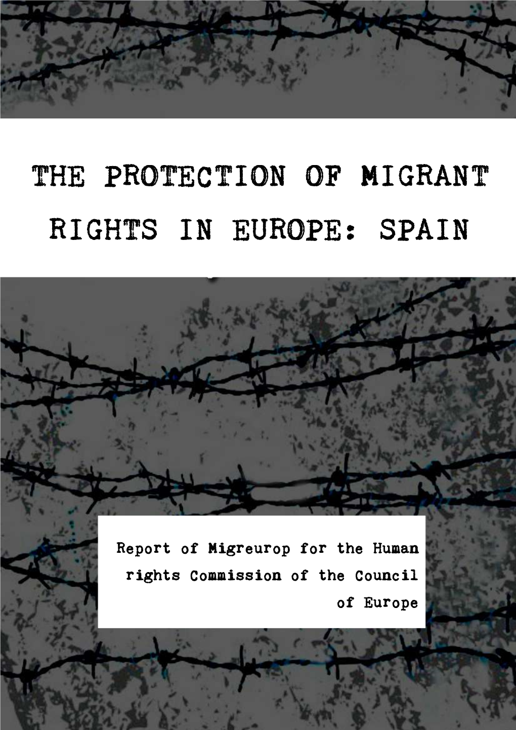 The Protection of Migrant Rights in Europe: Spain
