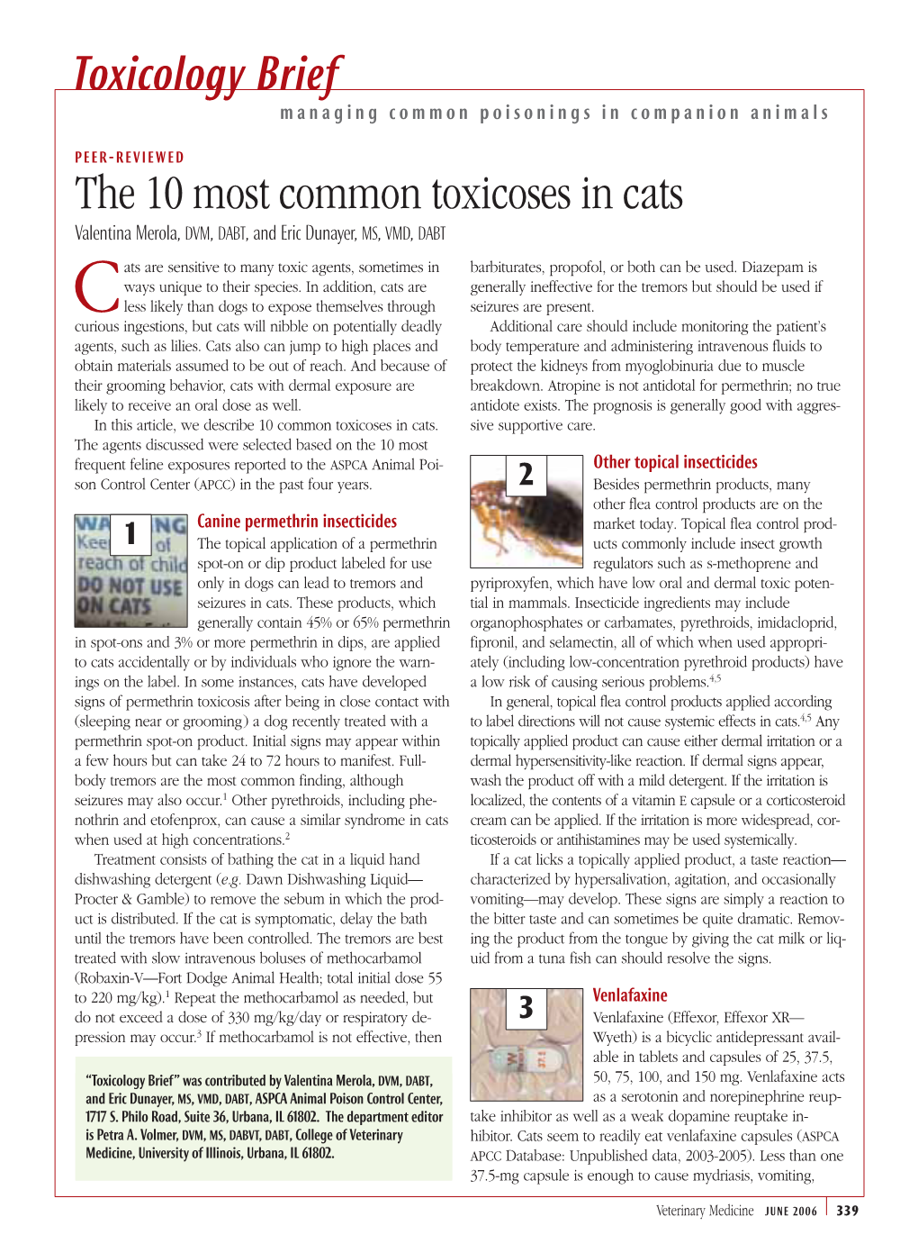 The 10 Most Common Toxicoses in Cats