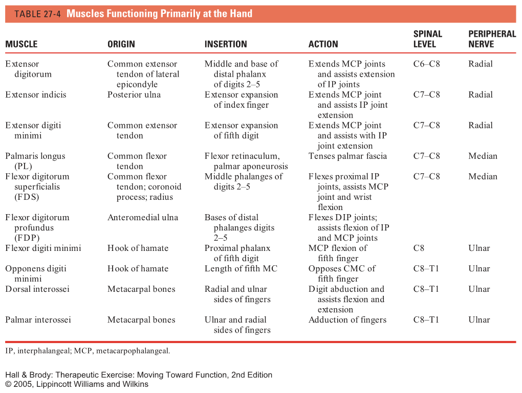 TABLE 27-4 Muscles Functioning Primarily at the Hand