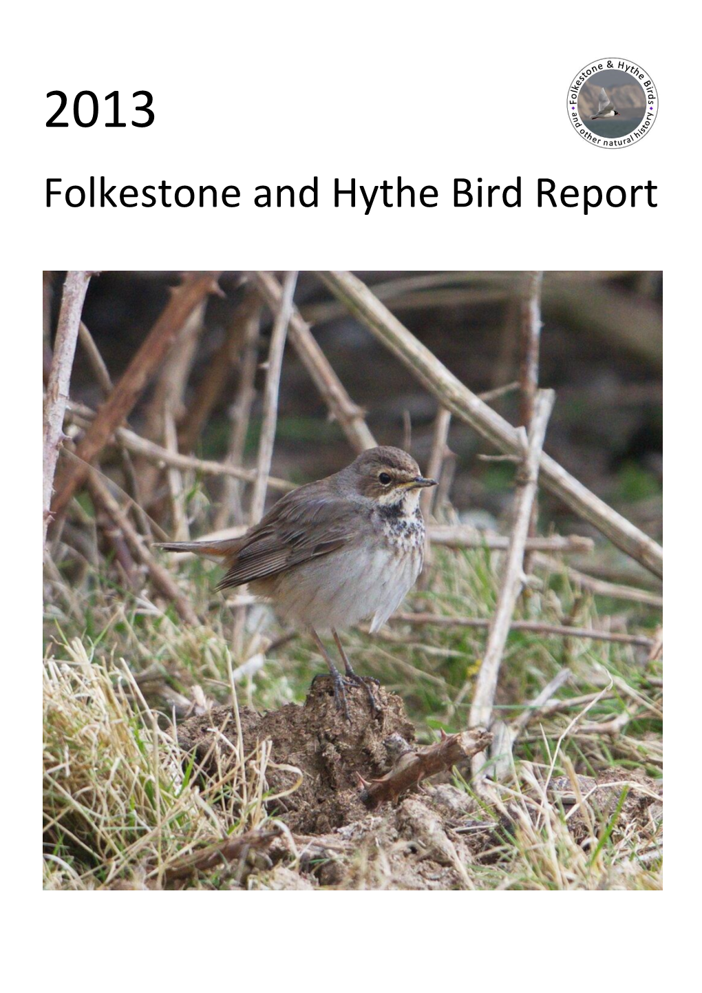 Folkestone and Hythe Bird Report