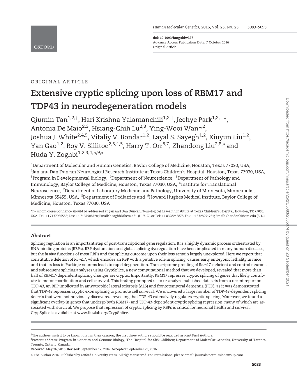 Extensive Cryptic Splicing Upon Loss of RBM17 and TDP43 In