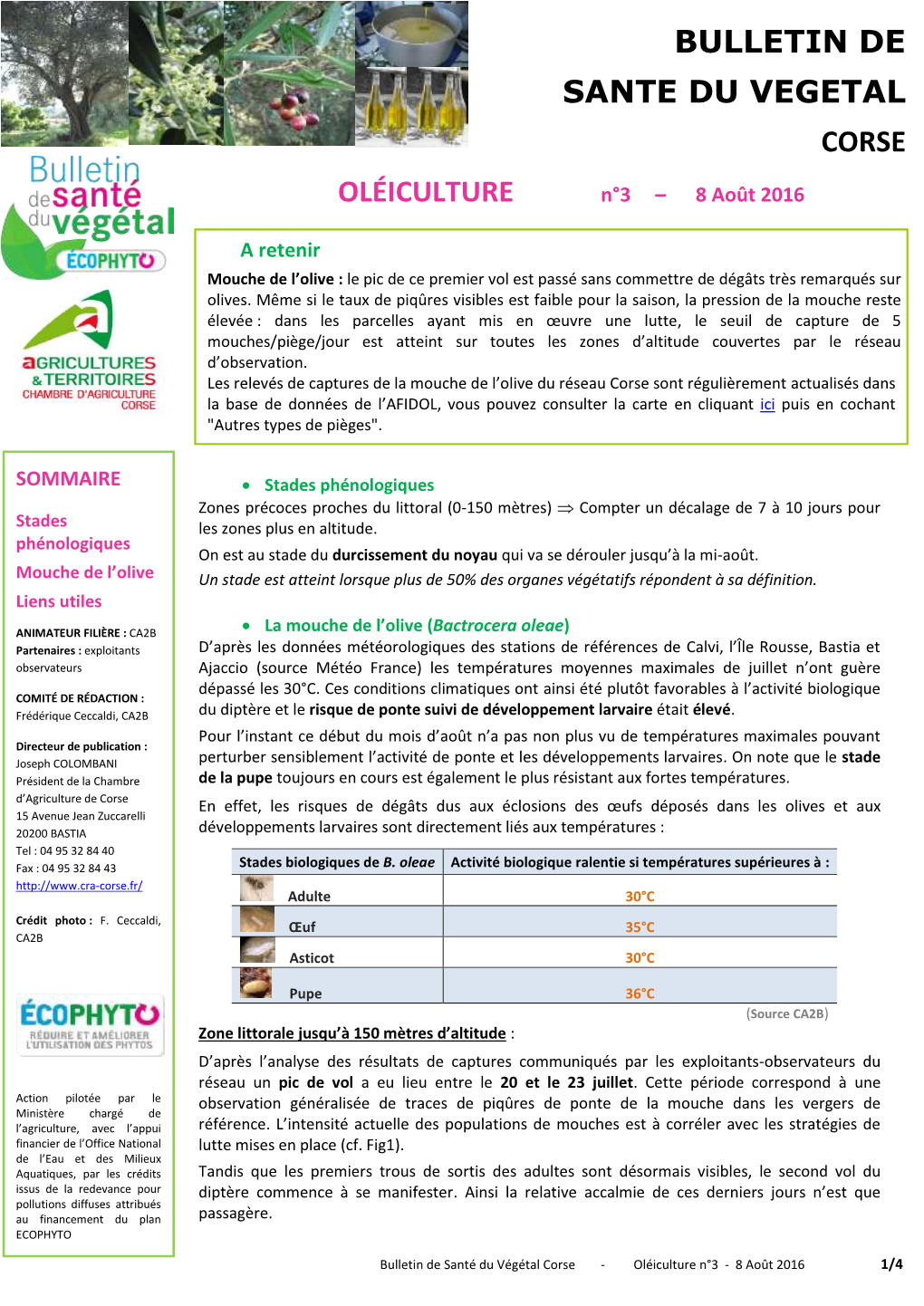 Bulletin De Sante Du Vegetal Corse Oléiculture