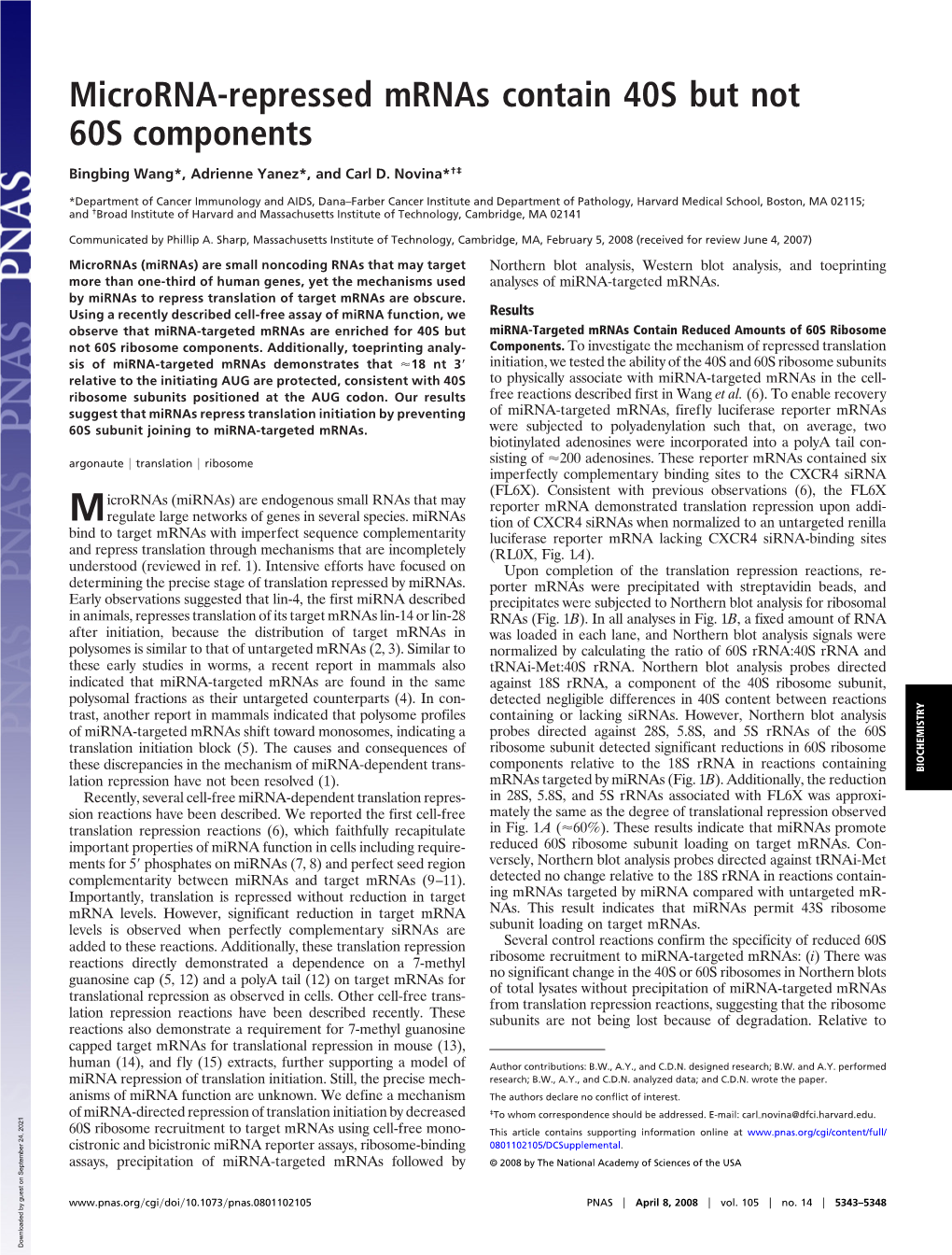 Microrna-Repressed Mrnas Contain 40S but Not 60S Components