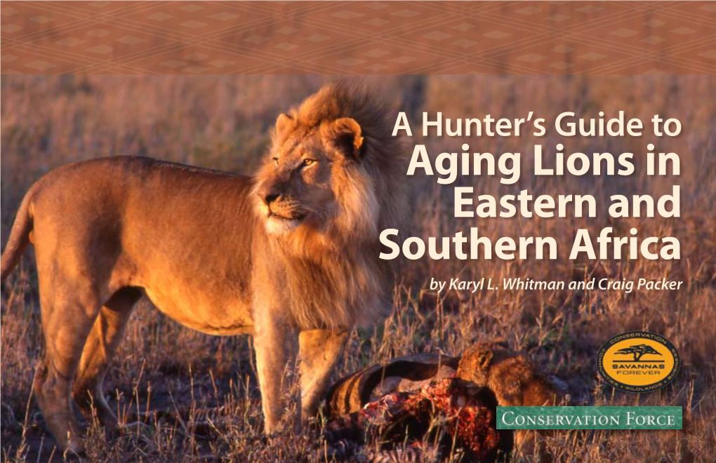 A Hunter's Guide to Aging Lions in Eastern and Southern Africa