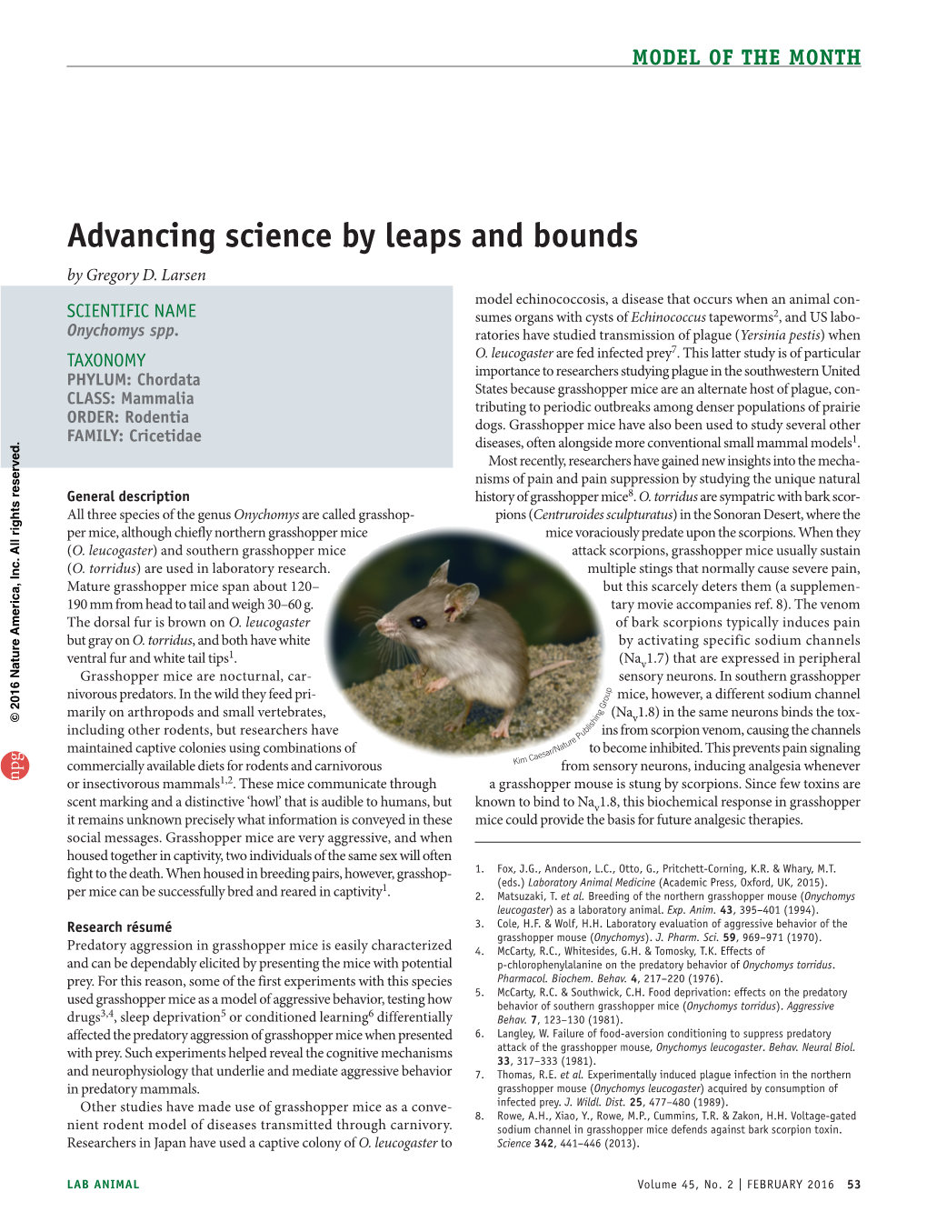 Advancing Science by Leaps and Bounds by Gregory D