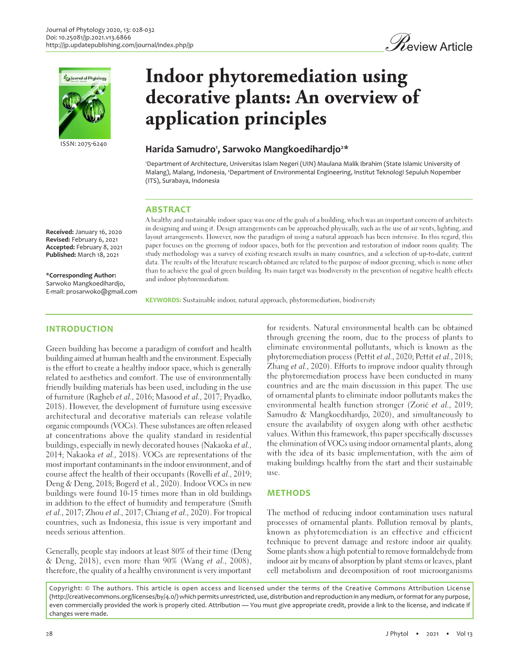 Indoor Phytoremediation Using Decorative Plants: an Overview of Application Principles