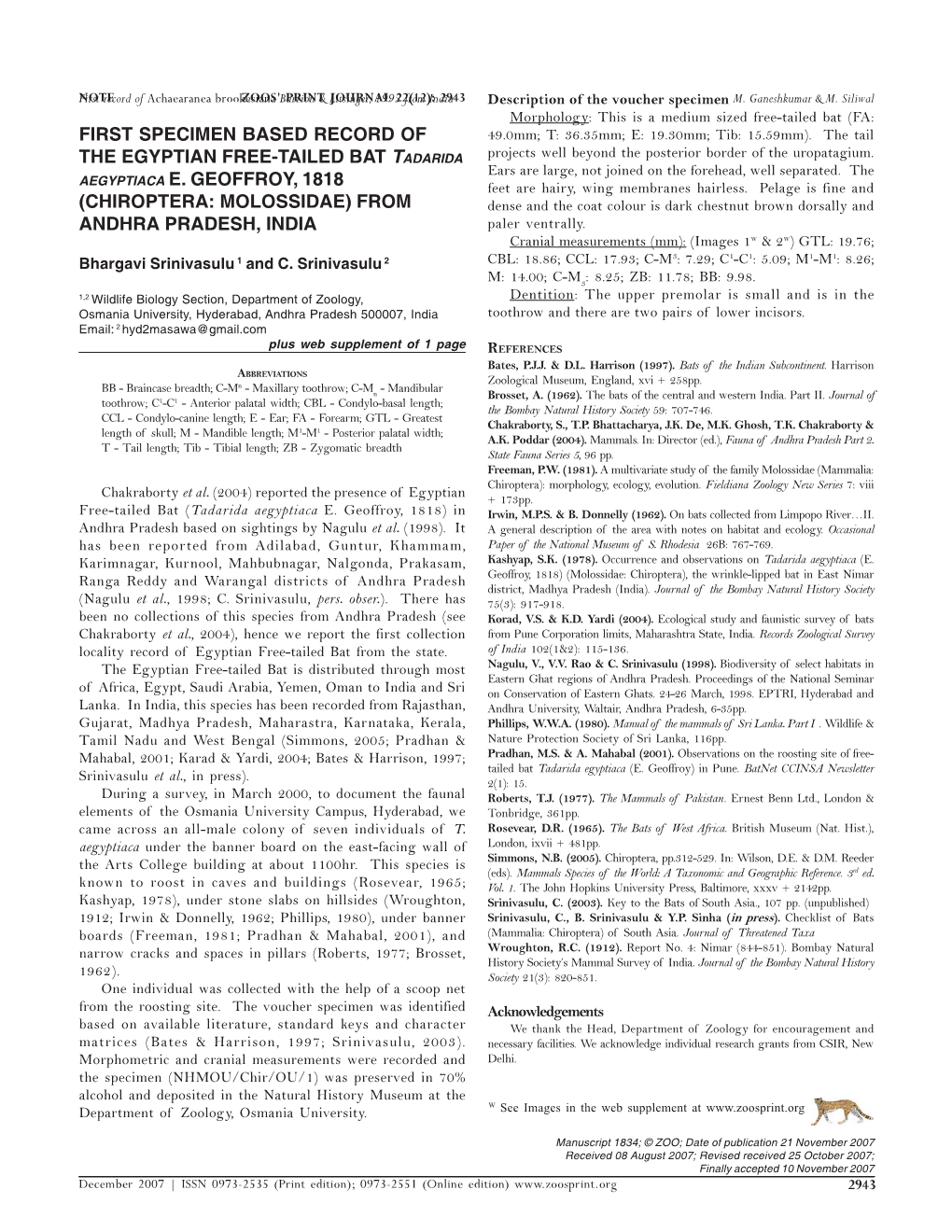 First Specimen Based Record of the Egyptian Free-Tailed Bat Tadarida