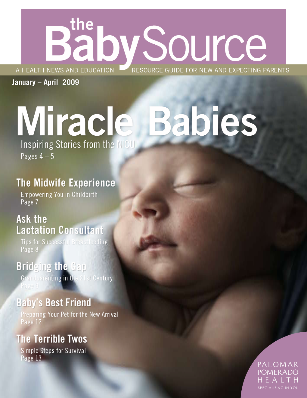 The Midwife Experience Ask the Lactation Consultant Bridging The