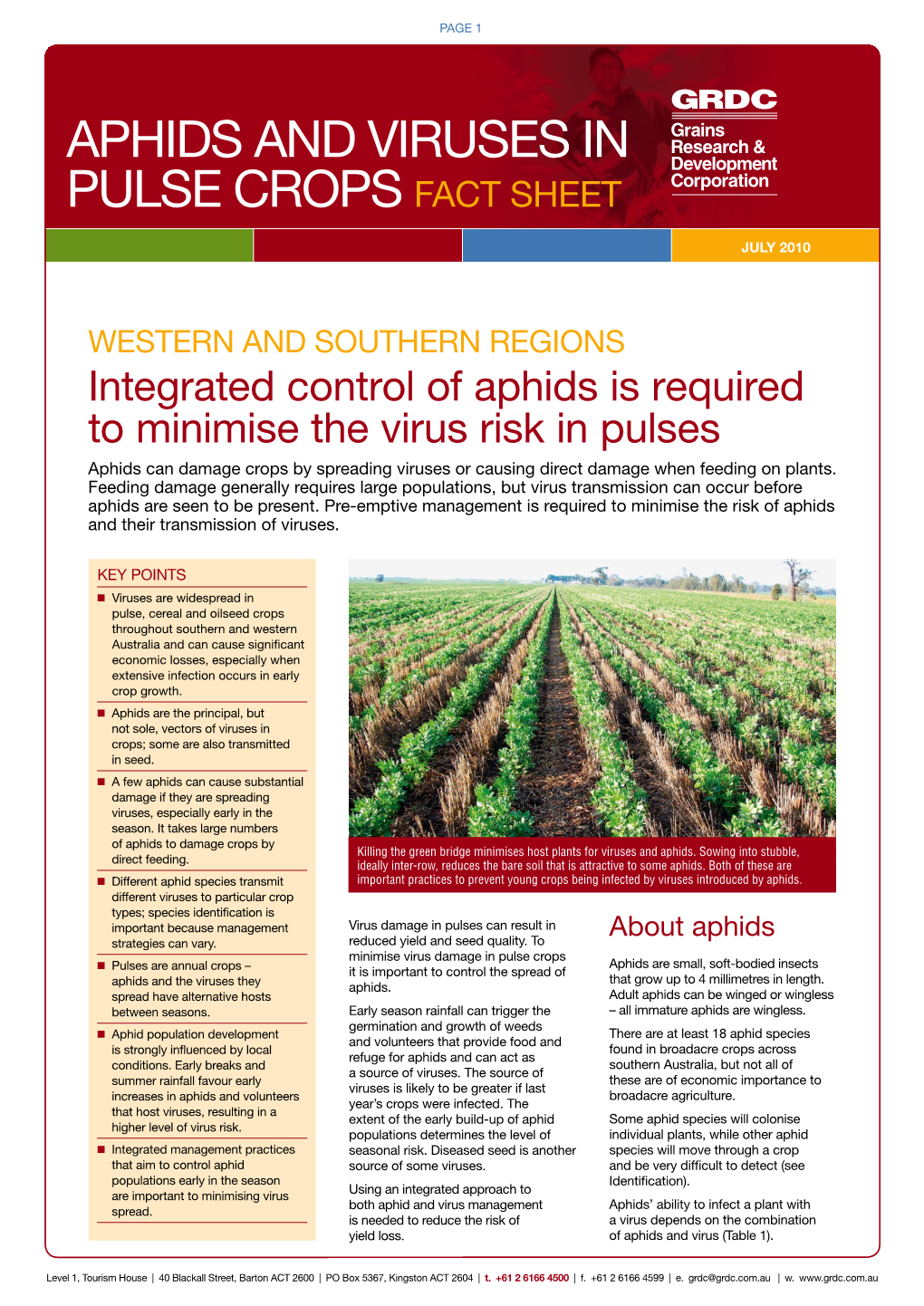 Aphids and Virus Transmission in Pulse Crops